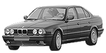 BMW E34 P1259 Fault Code